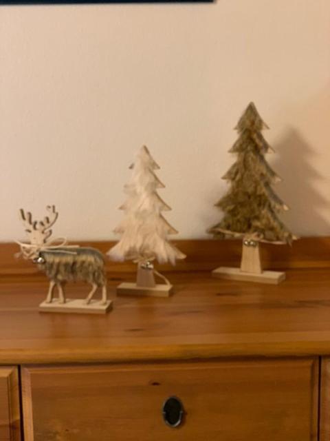 Appartement Style Chalet A Saint Lary Soulan. מראה חיצוני תמונה